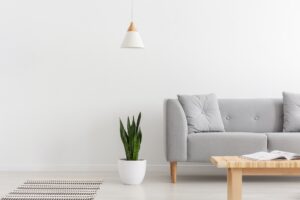 white-lamp-above-green-plant-in-pot-next-to-grey-sofa-with-pillo