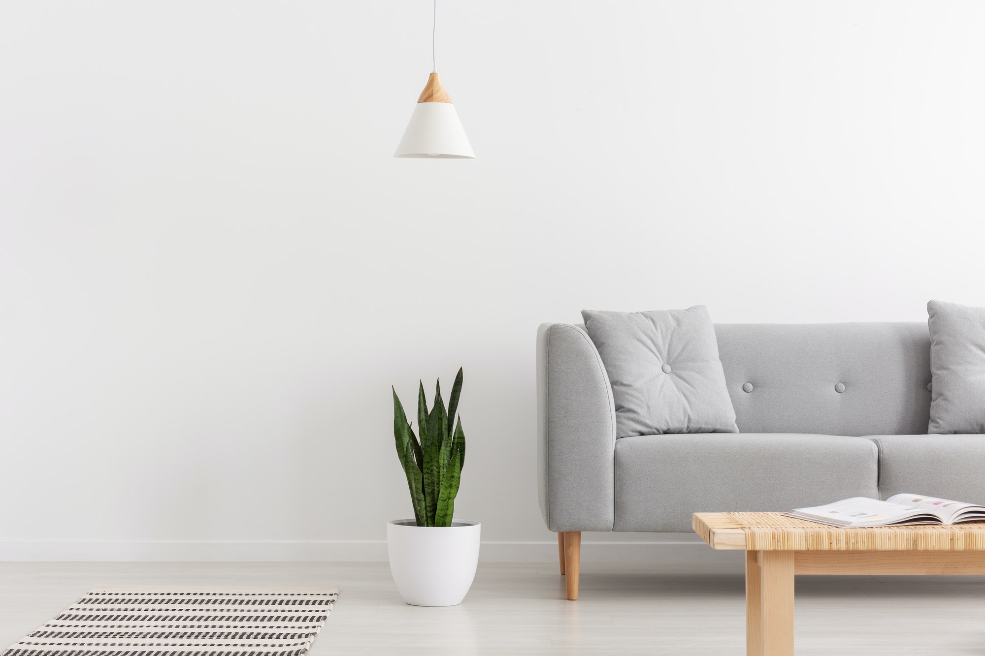 white-lamp-above-green-plant-in-pot-next-to-grey-sofa-with-pillo
